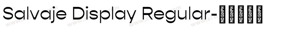 Salvaje Display Regular字体转换
